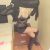 AVRUPA YAKASI YENİ LOLİTA ESCORT GÜLCAN - Resim14